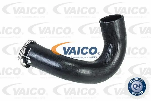 Charge Air Hose