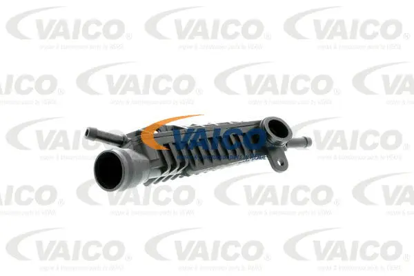 Valve, crankcase ventilation