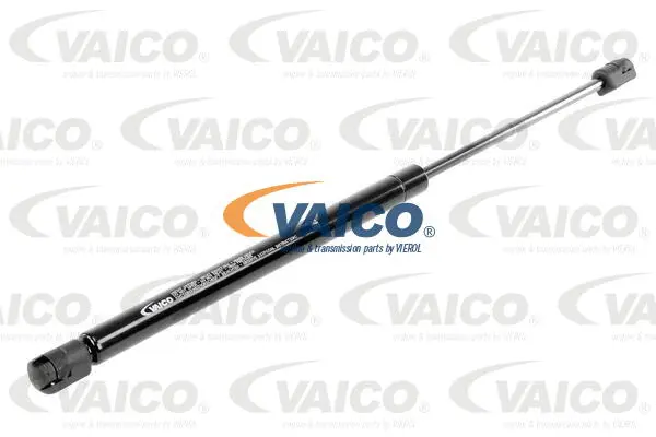 Gas Spring, boot/cargo area