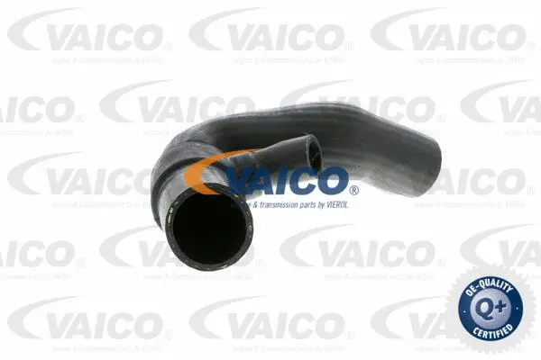 Charge Air Hose