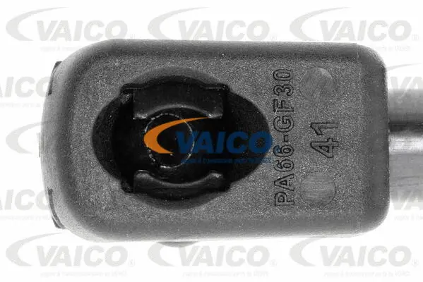 Gas Spring, boot/cargo area