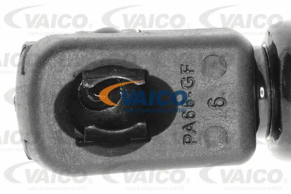 Gas Spring, boot/cargo area
