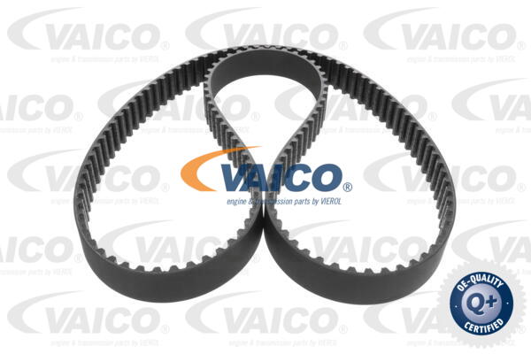 Timing Belt