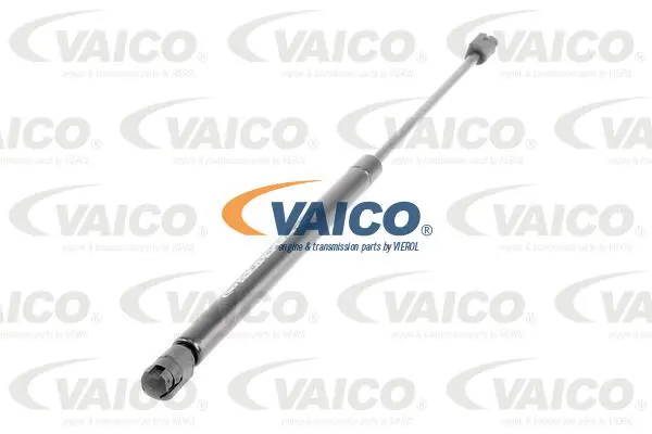 Gas Spring, boot/cargo area