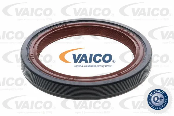 Shaft Seal, crankshaft