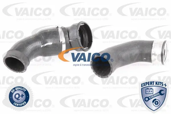 Charge Air Hose
