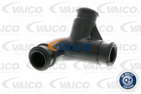 Hose, crankcase ventilation