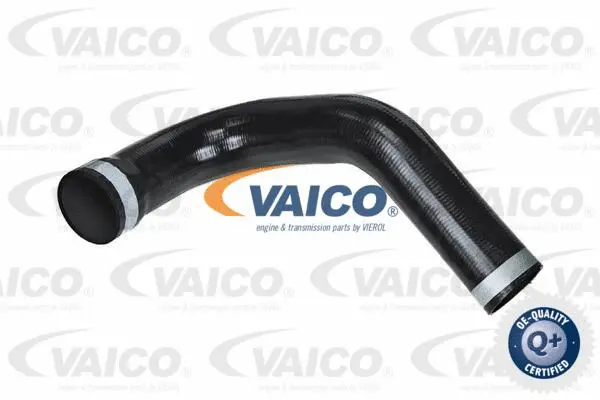 Charge Air Hose