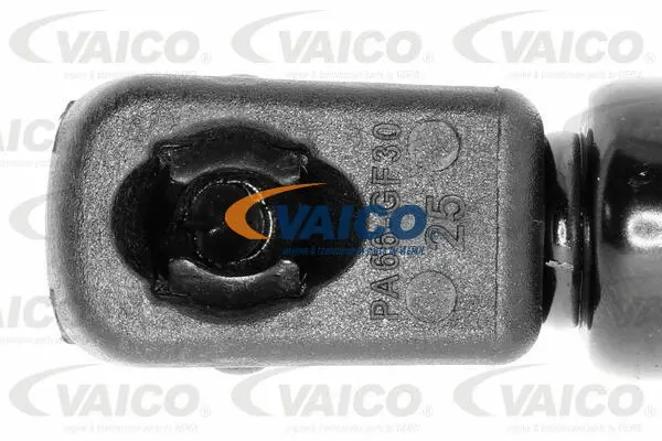 Gas Spring, boot/cargo area