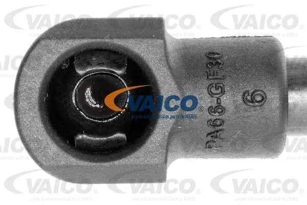 Gas Spring, boot/cargo area