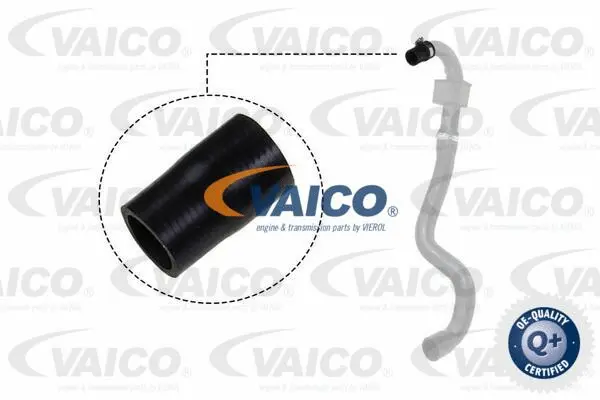 Charge Air Hose
