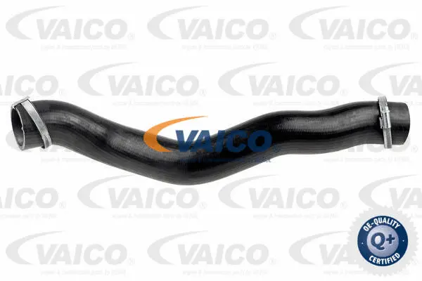 Charge Air Hose