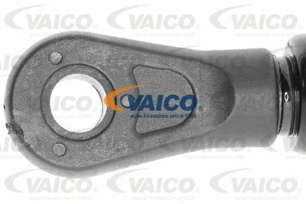 Gas Spring, bonnet