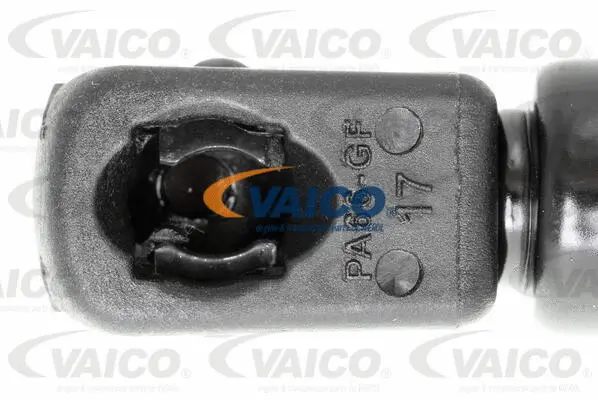 Gas Spring, boot/cargo area
