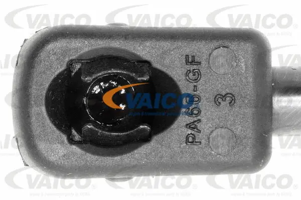 Gas Spring, boot/cargo area