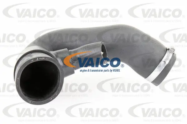 Charge Air Hose