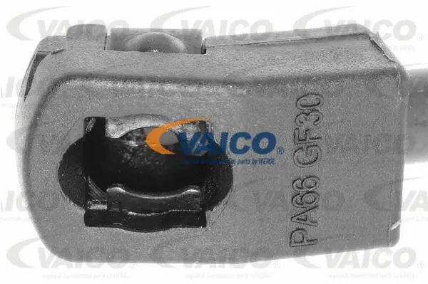 Gas Spring, boot/cargo area