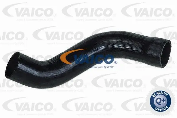 Charge Air Hose