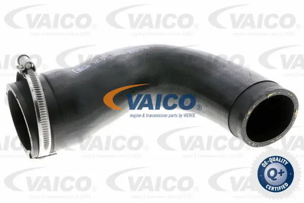 Charge Air Hose