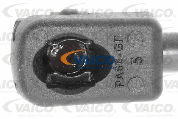 Gas Spring, bonnet
