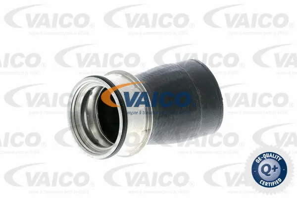 Charge Air Hose
