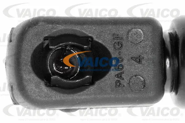 Gas Spring, boot/cargo area