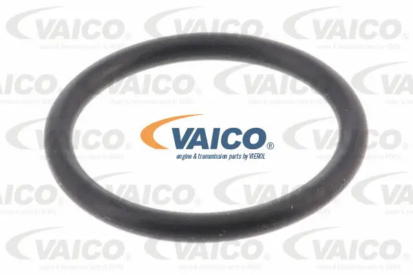 Hydraulic Filter, automatic transmission