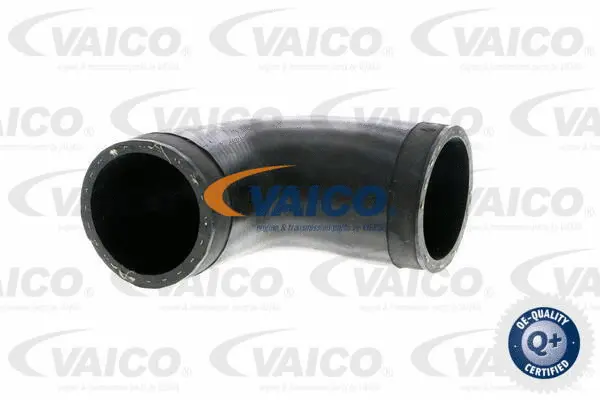Charge Air Hose