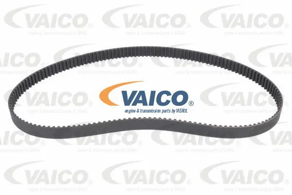 Timing Belt