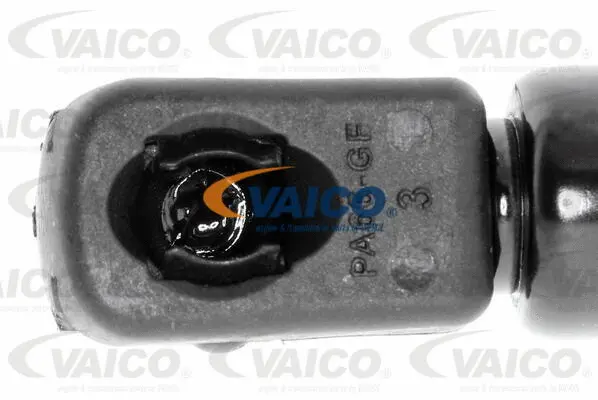 Gas Spring, bonnet