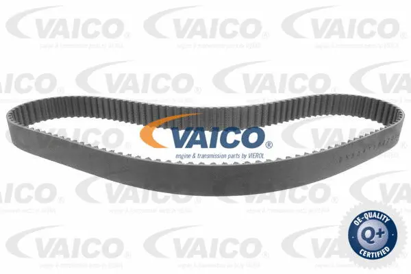 Timing Belt