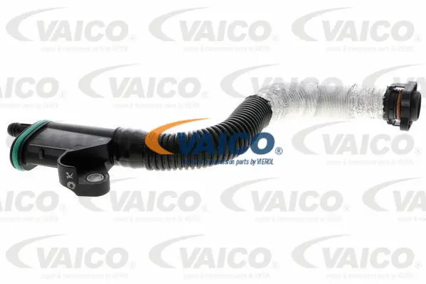 Hose, crankcase ventilation