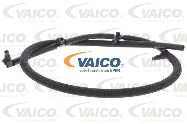 Hose, fuel overflow
