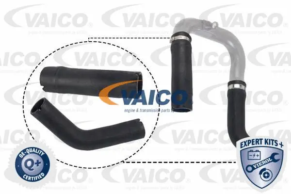 Charge Air Hose