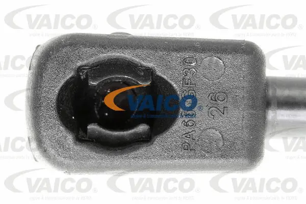 Gas Spring, boot/cargo area