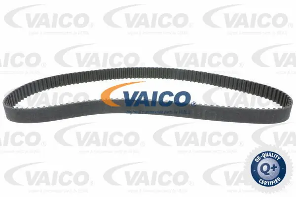 Timing Belt
