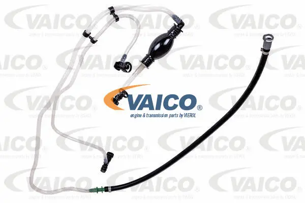 Fuel Line