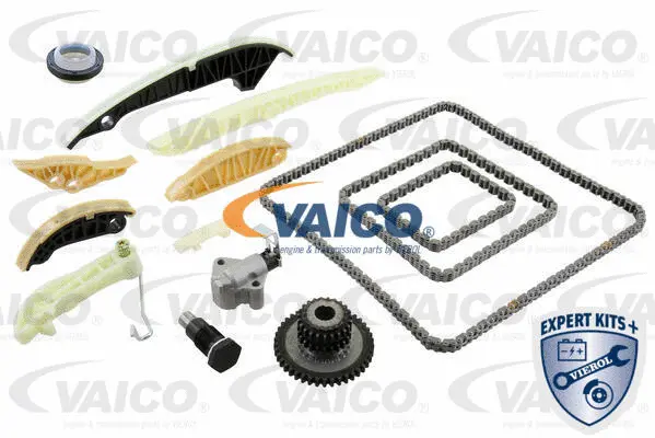 Timing Chain Kit