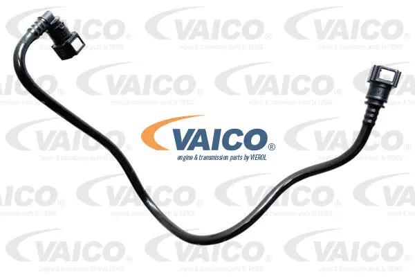 Fuel Line