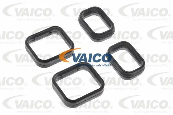 Oil Seal, automatic transmission