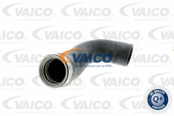 Charge Air Hose