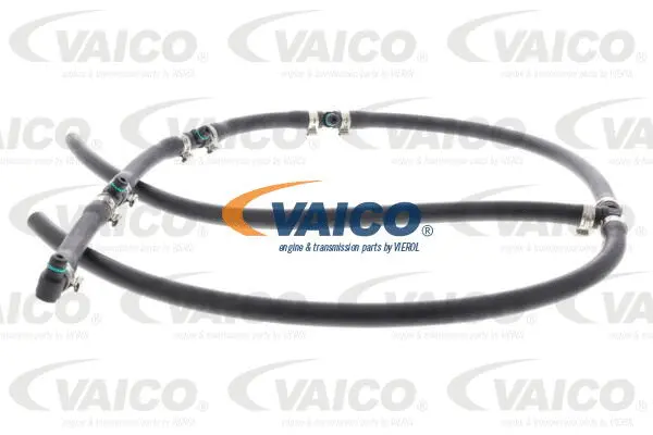 Hose, fuel overflow