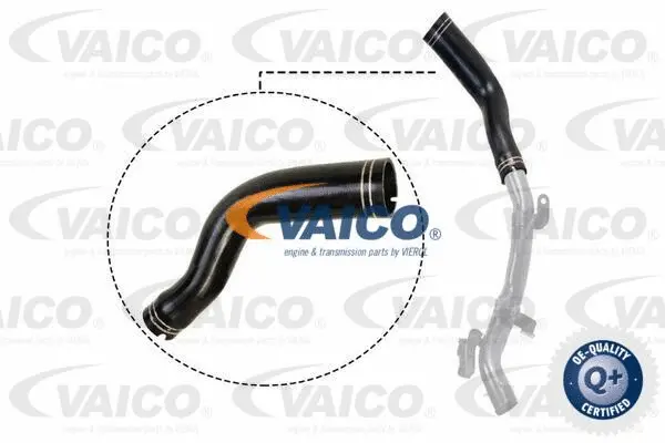 Charge Air Hose