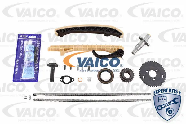Timing Chain Kit
