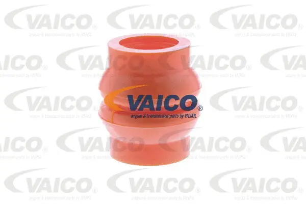 Bushing, selector/shift rod