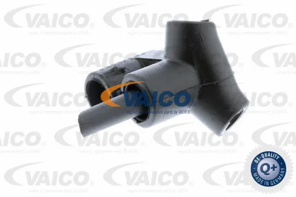 Hose, crankcase ventilation