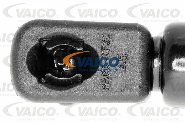 Gas Spring, boot/cargo area