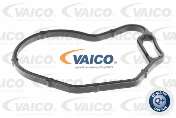 Vacuum Pump, braking system