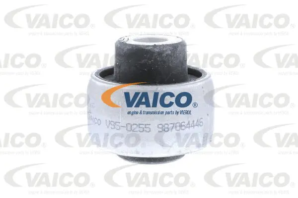 Mounting, control/trailing arm