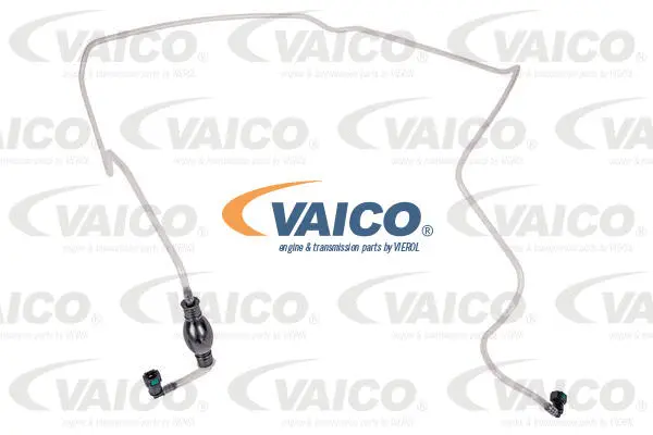 Fuel Line